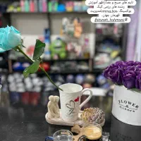 سالن شیرهای مبارز واقع درچهارراسنگر