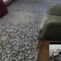 فرش کاشان دست بافت ۱۲ متری