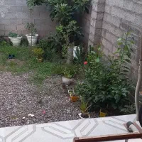 فروش ویلایی