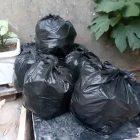 ذغال مرغوب