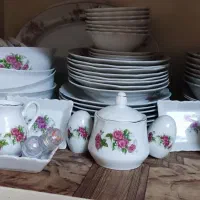ظروف  پذیرایی