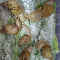 حلزون اچاتینا (حلزون تراپی پوست)