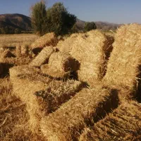 پرس کاه دیم  ، پرس یونجه