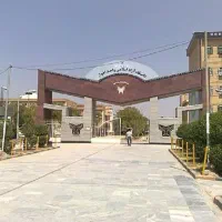 ارائه دیپلم تا دکتری رسمی