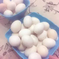 تخم مرغ  محلی خوراکی