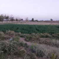 زمین-فروشی