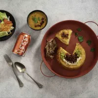 غذای خانگی و شرکتی با ارسال رایگان