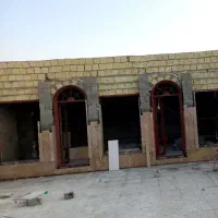 کاشی کار ونما