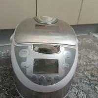پلوپز خارجی کم کار
