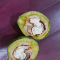 گردوی تازه