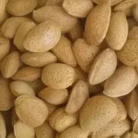 بادام فروشی سنگگ