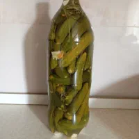 خیارشور خونگی