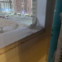 رهن آپارتمان مسکونی