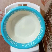 تشت پلاستیکی