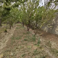 چهاردیواری ۸۰۰متری بعداز منشیان روستای باچه