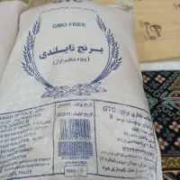 برنج|لوازم جانبی حیوانات|آزادشهر, |دیوار