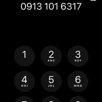 0913 101 6317