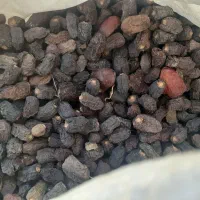 خرید خرما کده
