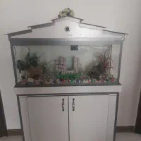 جای ماهی