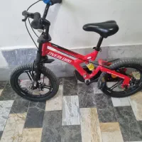 دوچرخه ۱۶ اورلود