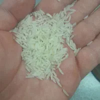 برنج فروشی