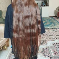 کوتاهی مو و مرکز فروش مو خریدار مو