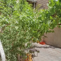 خانه ویلایی
