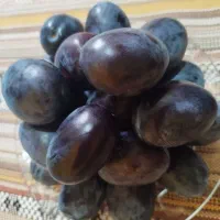 آلو بخارا و مغز گردو