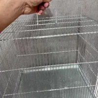 قفس