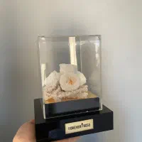 باکس گل شیک مناسب هدیه