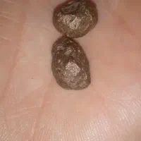 دوعددسنگ