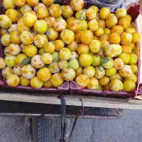 الو محلی