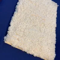 شگی|پادری|بندرعباس, |دیوار