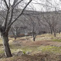 باغ-روستای-تینمو