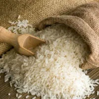 برنج درجه یک طارم فریدونکنار کشت دو