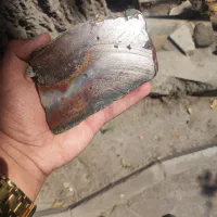 شجر بهاری