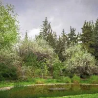 فروش-باغ-چهار-دیواری