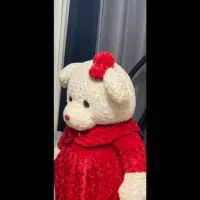خرس بزرگ|اسباببازی|رشت, شالکو|دیوار