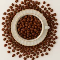 انواع پودریجات