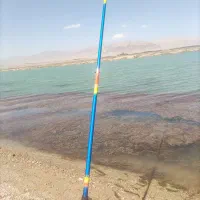 لنسر ماهیگیری