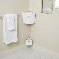 سطل و فرچه سویل ( sevil)