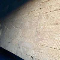 واردات و عرضه مستقیم چوب نراد روسی