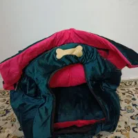لونه سگ و گربه