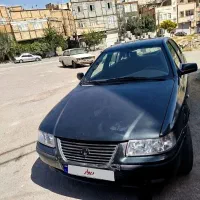 یک عدد سمند سالم