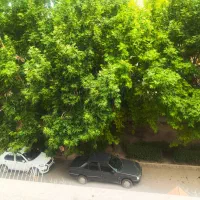 آپارتمان-127-متری-جنب-مجموعه-اداری-22-بهمن