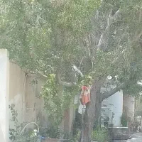 نظافت پارکینگ واحد راه پله