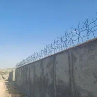 تولیدی شاخ گوزنی