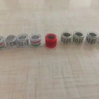 پلاک کبوتر