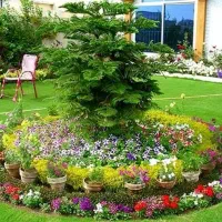 باغبانی درختان در فردیس