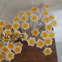 روشنایی به سبک گل نرگس